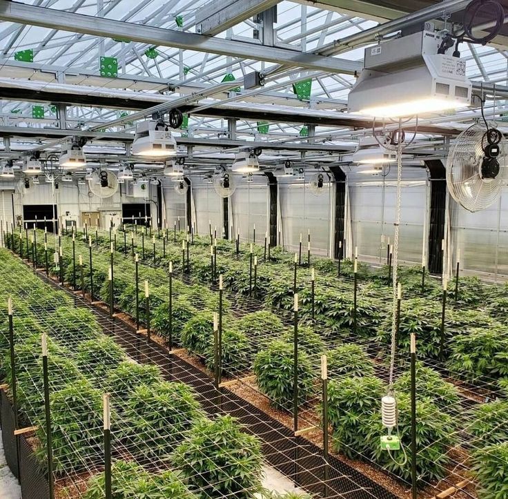 Modern vertical farm in urban container